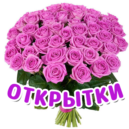 Открытки на все случаи жизни и поздравления