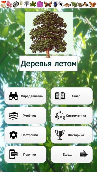 ЭкоГид: Деревья летом - Атлас и Определитель — Книги и справочники, скриншот интерфейса 1