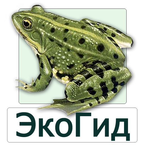 ЭкоГид: Амфибии - Фото, Голоса и Определитель