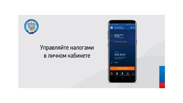 Налоги ФЛ — Бизнес, скриншот интерфейса 2