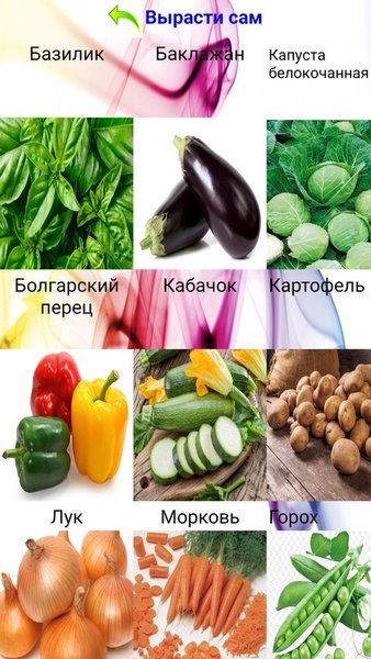 Блокнот садовода — Книги и справочники, скриншот интерфейса 2