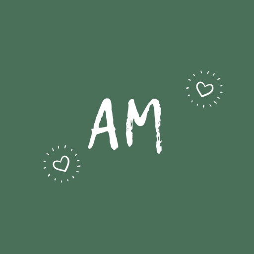 AM Company Inc