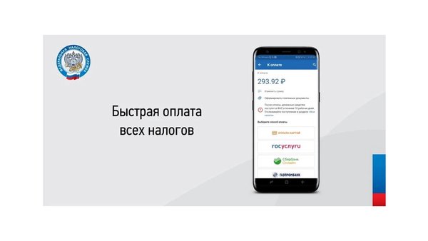 Налоги ФЛ — Бизнес, скриншот интерфейса 4