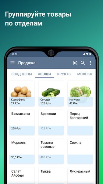 Касса в телефоне — Старт — Бизнес, скриншот интерфейса 2