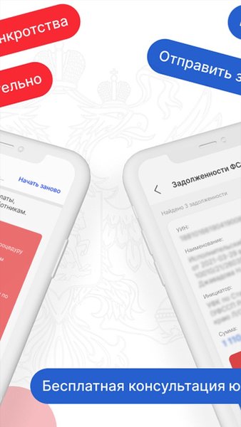 Закрой долги ФССП: банкротство физ лиц через МФЦ — Финансы, скриншот интерфейса 3