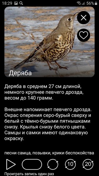 Голоса птиц Европы PRO — Книги и справочники, скриншот интерфейса 4