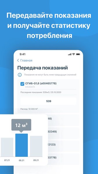 Мой ГАЗ — Бизнес, скриншот интерфейса 7