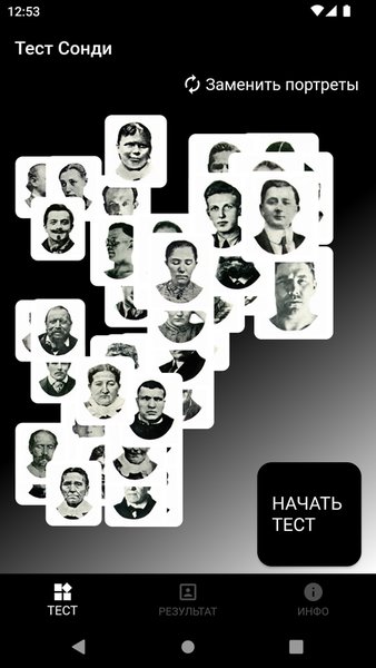 Тест Сонди — Инструменты, скриншот интерфейса 2