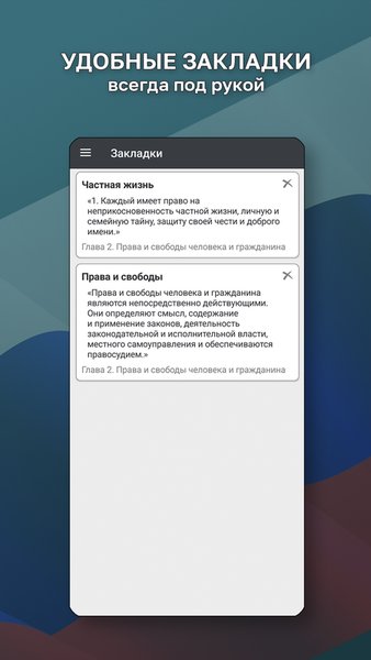 Конституция РФ — Книги и справочники, скриншот интерфейса 4