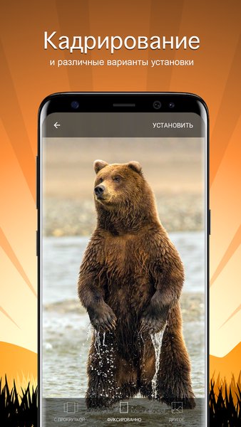 Обои с животными 4K — Персонализация, скриншот интерфейса 3