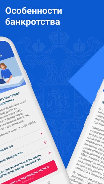 Банкротство: списание долгов ФССП через МФЦ, Госуслуги — Банки, скриншот интерфейса 2