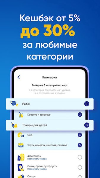 ЛЕНТА – каталог продуктов — Бизнес, скриншот интерфейса 4