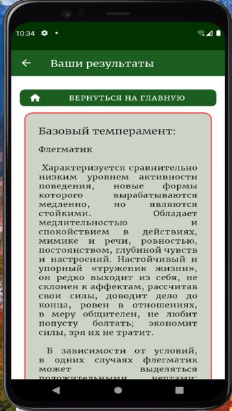 Опросник Айзенка (EPQ-R) — Медицина, скриншот интерфейса 6
