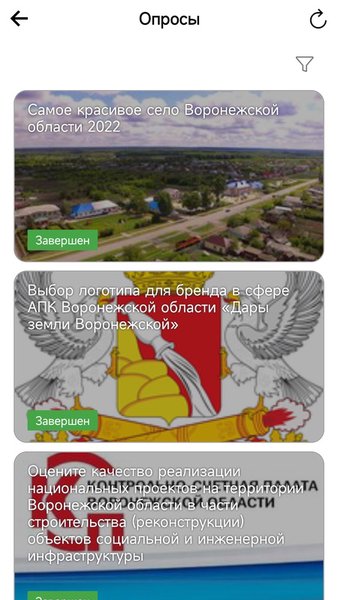Активный электронный гражданин — Социальные, скриншот интерфейса 4