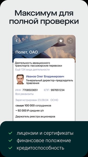Saby Profile — Бизнес, скриншот интерфейса 3