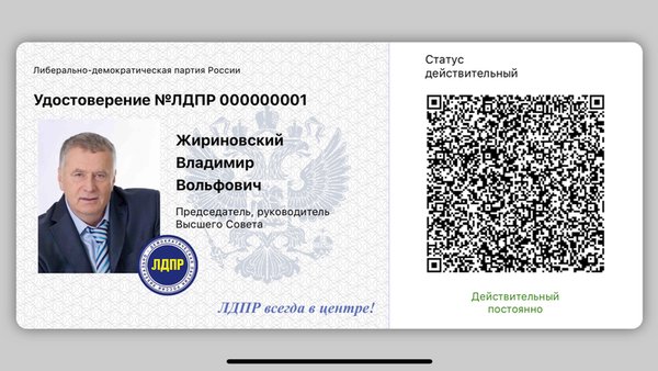 ЛДПР — Социальные, скриншот интерфейса 4