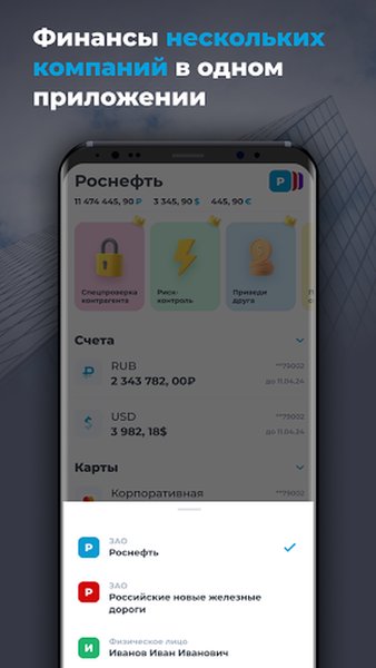 Локо Бизнес — Финансы, скриншот интерфейса 2