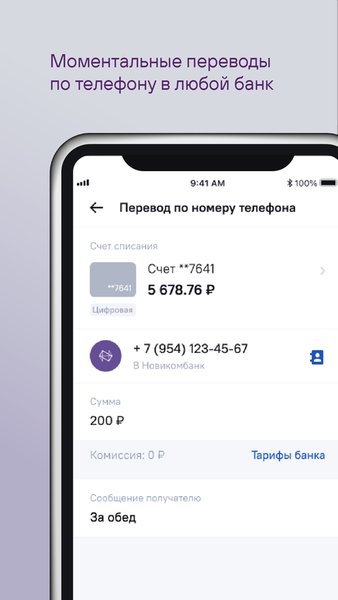 НОВИКОМ — Банки, скриншот интерфейса 8