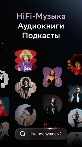 Звук: HiFi - музыка и книги — Музыка и аудио, скриншот интерфейса 2