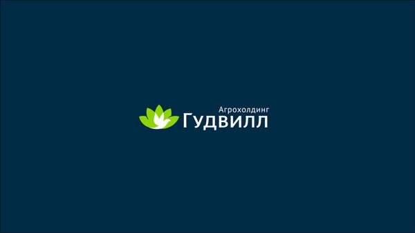 Гудвилл — Покупки, скриншот интерфейса 1