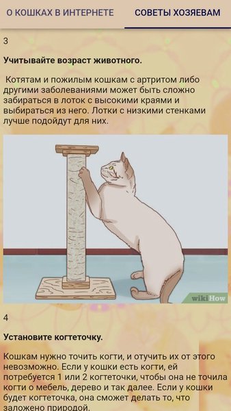 Коты  — Обучающие, скриншот интерфейса 5