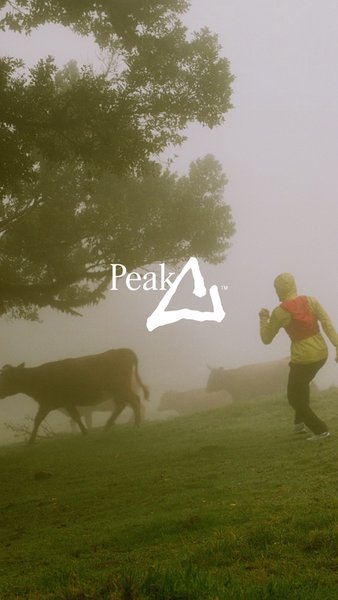 Peak: проект о моде, спорте и культуре — Покупки, скриншот интерфейса 1