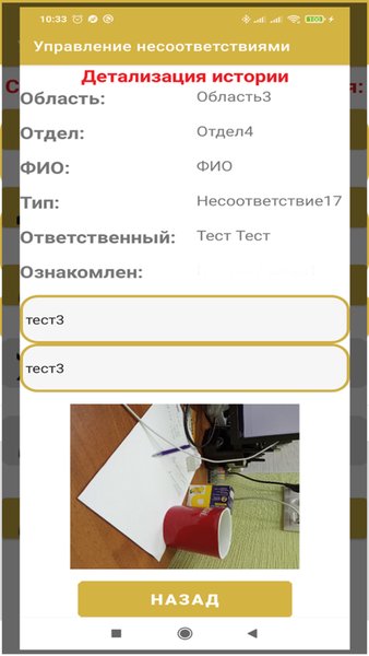 Управление несоответствиями — Бизнес, скриншот интерфейса 4