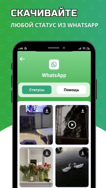 Статусы WhatsApp - скачать статусы из ватсап — Социальные, скриншот интерфейса 1
