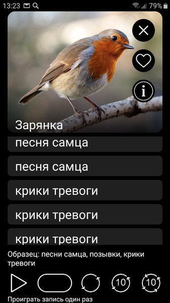 Манок на птиц: песни, позывки, голоса птиц — Книги и справочники, скриншот интерфейса 3