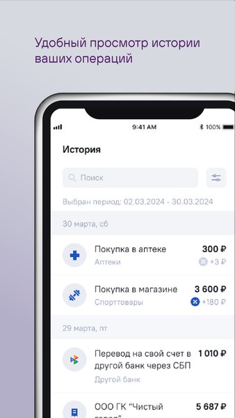 НОВИКОМ — Банки, скриншот интерфейса 6