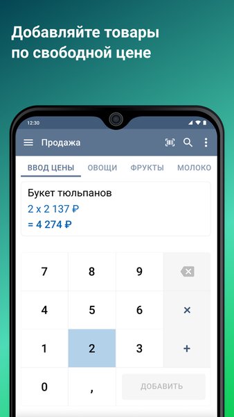 Касса в телефоне — Старт — Бизнес, скриншот интерфейса 3