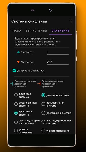 Информатика: системы счисления — Образование, скриншот интерфейса 7