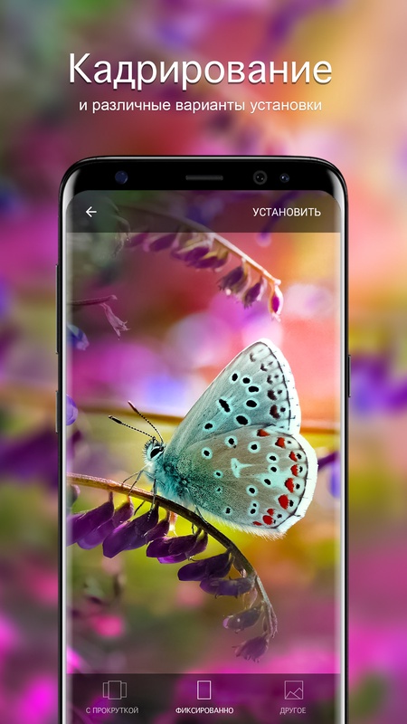 Обои с бабочками | бабочки от 7Fon — Персонализация, скриншот интерфейса 3