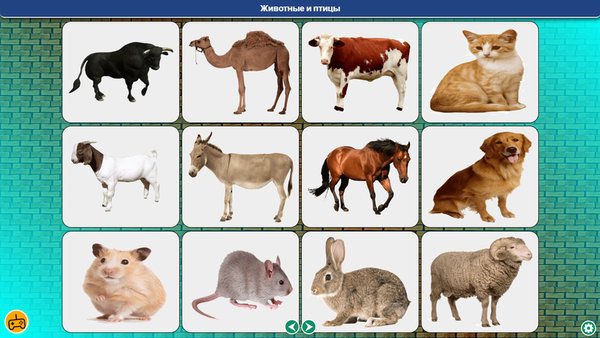 Звуки животных и птиц игра памяти  — Детские, скриншот интерфейса 2