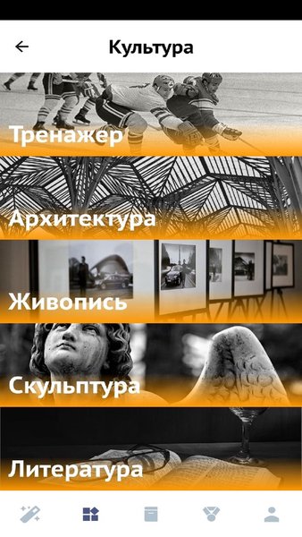 История ЕГЭ — Образование, скриншот интерфейса 4