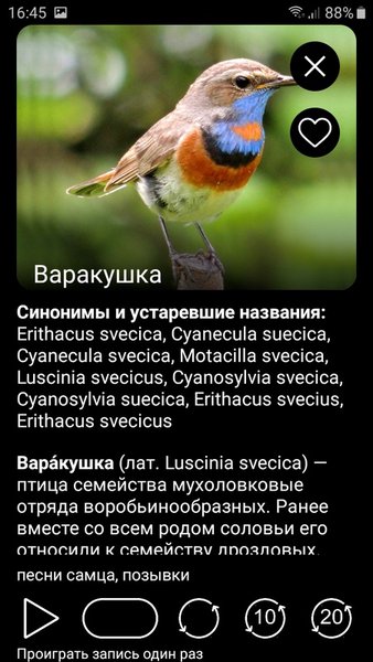 Голоса птиц России PRO — Книги и справочники, скриншот интерфейса 3