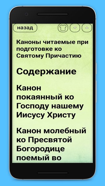 Утреннее и вечернее правило с аудиосопровождением — Книги и справочники, скриншот интерфейса 6