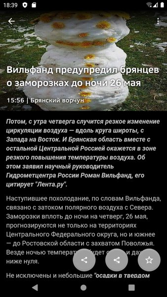 Новости 32: Брянская область — Новости и журналы, скриншот интерфейса 4