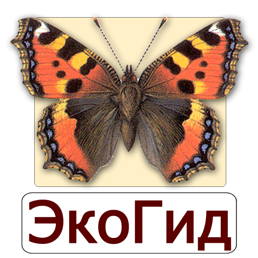 ЭкоГид: Дневные бабочки - Полевой определитель