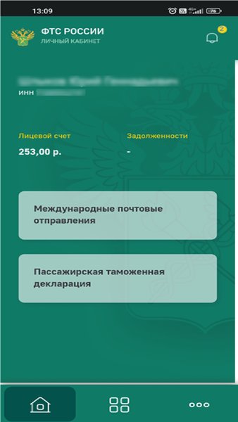 Личный кабинет участника ВЭД ФТС России — Бизнес, скриншот интерфейса 4