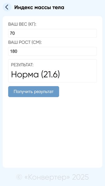 Конвертер — Инструменты, скриншот интерфейса 4
