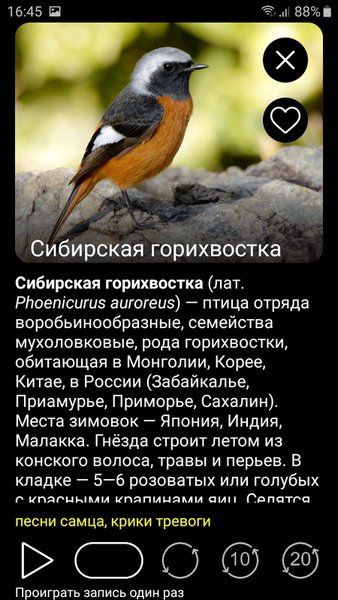 Голоса птиц России PRO — Книги и справочники, скриншот интерфейса 4