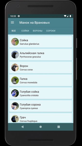 Манок на врановых — Развлечения, скриншот интерфейса 2