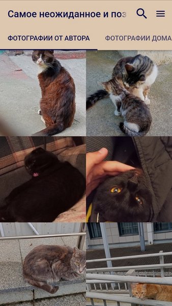 Коты  — Обучающие, скриншот интерфейса 1