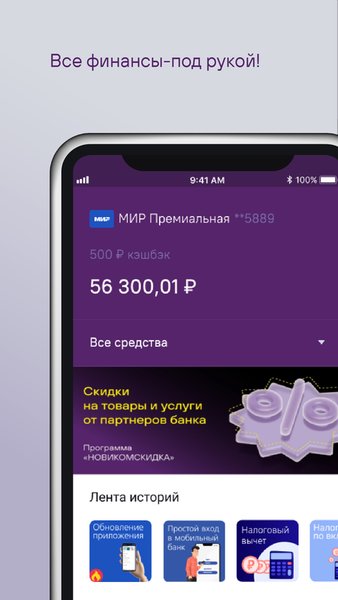 НОВИКОМ — Банки, скриншот интерфейса 4